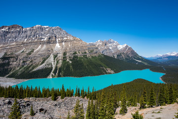 Lake Payto from the top of the hiking trail in Alberta, Canada - 242712759