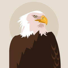 bald eagle bird icon