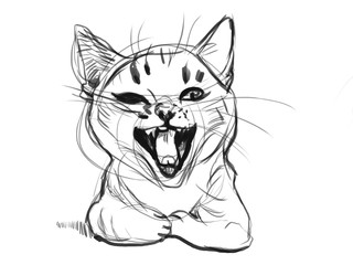 Yawn Sketch