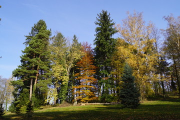 Park (Vrchotovy Janovice, Czech Republic)