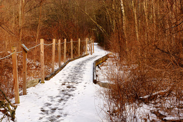 Snowy handicap accessible trail for sight impaired people