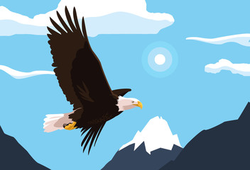 bald eagle bird flying with landscape