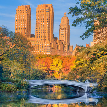 Bow bridge in Central park at Autumn sunny day, New York City