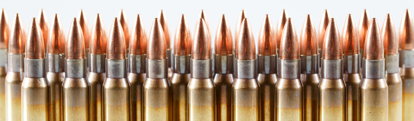 Hunting cartridges of caliber. 308 Win