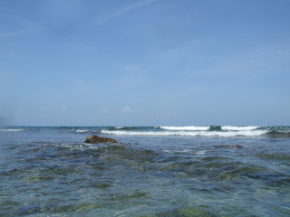 Akumal, Mexico Summer / Reef edge