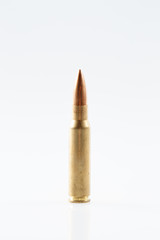 Hunting cartridges of caliber .308 Win