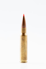 Hunting cartridges of caliber .308 Win
