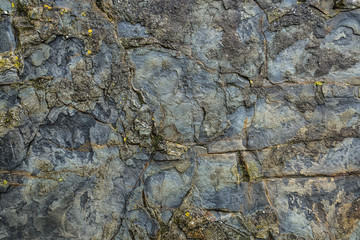 Texture of an old wet wall of stone.