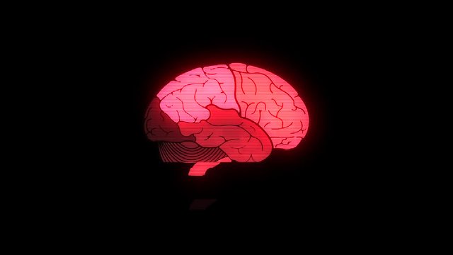 Human brain on hud glitch display colorful seamless animation background new quality health, technology, medicine. motion graphics 4k stock video footage