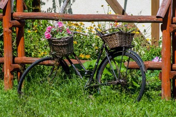 bicycle as a flowerbed