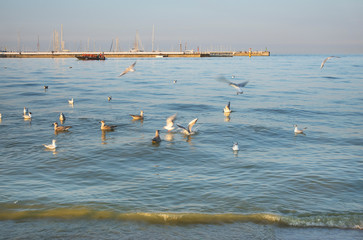 Baltic sea in Sopot. Poland