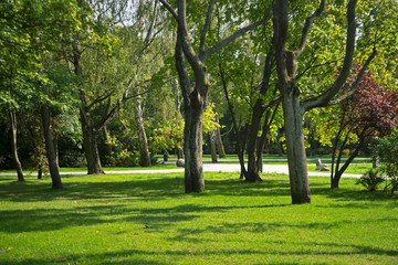 Park Polnocny (North park) in Sopot. Poland