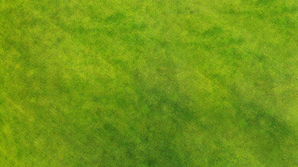 Fototapeta na wymiar Aerial. Green grass texture background.