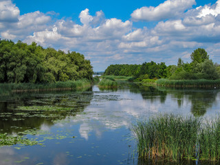 Fototapeta na wymiar Views of Hungarian nature reserve Kis Balaton (Little Balaton)in the near from Lake Balaton with blue Sky ,green Vegetation and blue Water
