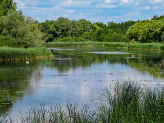 Fototapeta na wymiar Views of Hungarian nature reserve Kis Balaton (Little Balaton)in the near from Lake Balaton with blue Sky ,green Vegetation and blue Water