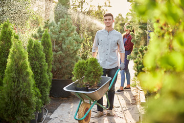 Guy gardener rolls a cart with seedlings in pots along the garden path in the wonderful...