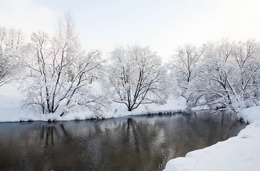 Foto auf Leinwand river and trees under snow on winter day © mskphotolife