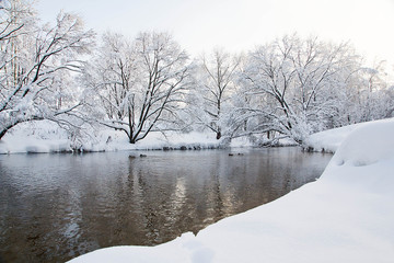 trees under snow and river on a winter day