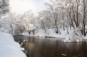 Fototapeta na wymiar trees under snow and river on winter day
