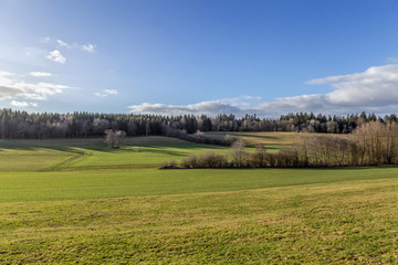 Winter. Meadow. Field. Forest. Hill. Sky