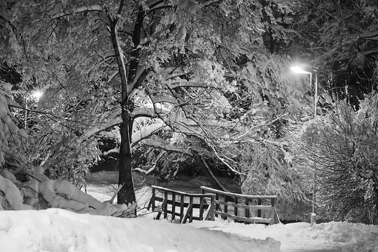 Fototapeta bridge in park at winter evening black and white