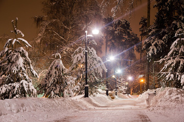 snowy trail and street lamp in the winter evening