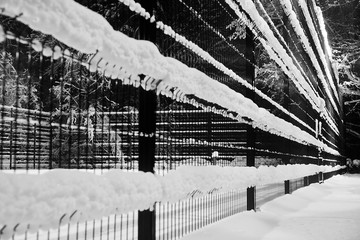fence under the snow in winter park black and white