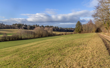 Fototapeta premium Winter. Road. Meadow. Forest. Hill. Sky. Field