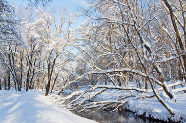 beautiful snow covered trees and a river in the winter park