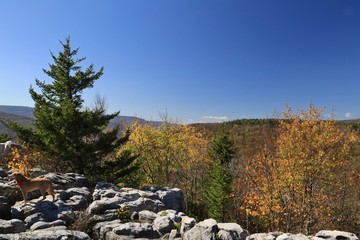 Fototapeta premium Nature hike