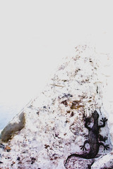 Decorative handicraft salamander on the rock