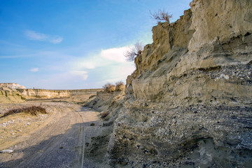 Растущие на краю