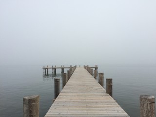 Fog on the bay