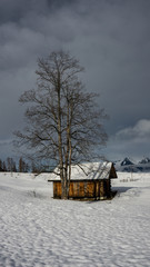 Baum und Hütte im Winter