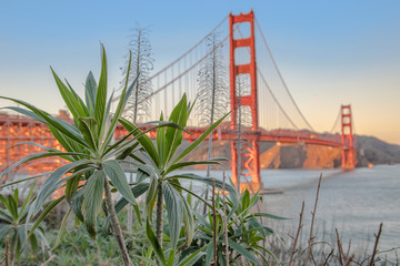 The Golden Gate Bridge in San Francisco