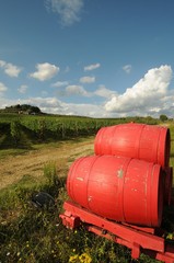 old red barrels in a Tuscan vineyard in the Chianti region near Pontassieve (Florence), Italy.
