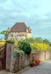 Yvorie village in northern France on a cloudy day