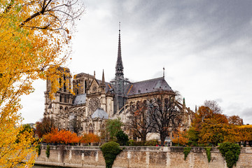 Fototapeta na wymiar Europe, France, Paris , Notre Dame, Ile