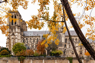Europe, France, Paris , Notre Dame, Ile