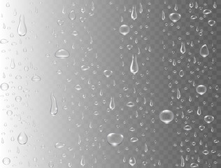 Realistic water drops on transparent background. Rain drops or steam shower. Condensed pure droplets. Clear vapor bubbles on window glass surface. Vector illustration