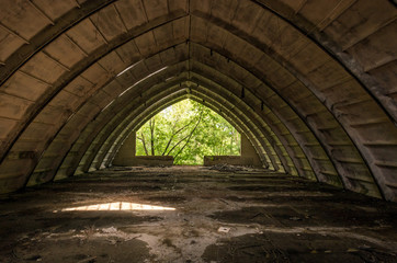 Arched tunnel. Exit the tunnel. Trees from the window.