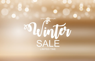 Winter Sale Background Special Offer Banner Background for Business and Advertising. Vector illustration