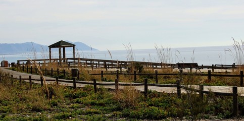 Fototapeta premium Wooden path on the beach