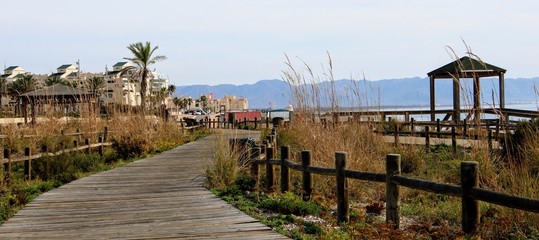 Fototapeta premium Wooden path on the beach