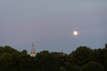 Obraz premium Gloomy landscape with crosses and birds around the moon