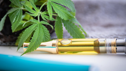 THC/CBD Cannabis Oil & Terpenes Filled Cartridges Up Close With Marijuana Plant Leafs