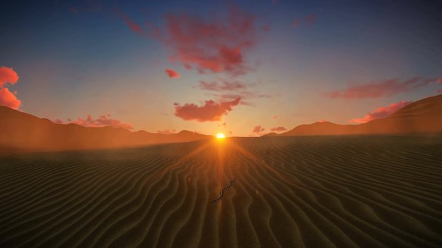 Garter Snake in Dessert against beautiful Sunset
