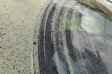 Fichtenblütenstaub auf einer Autoscheibe im Fichtelgebirge (D)