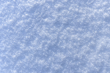 the texture of the snow bright day / the background texture of the snow