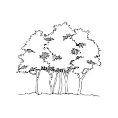 Hand drawn sketch trees. Architect group of trees. Isolated on transparent backgdrop